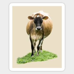 Jersey Cow Magnet